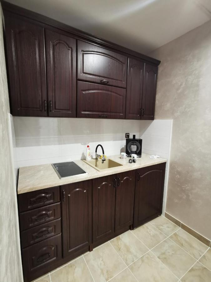 Panorama Apartman Novi Sad Esterno foto